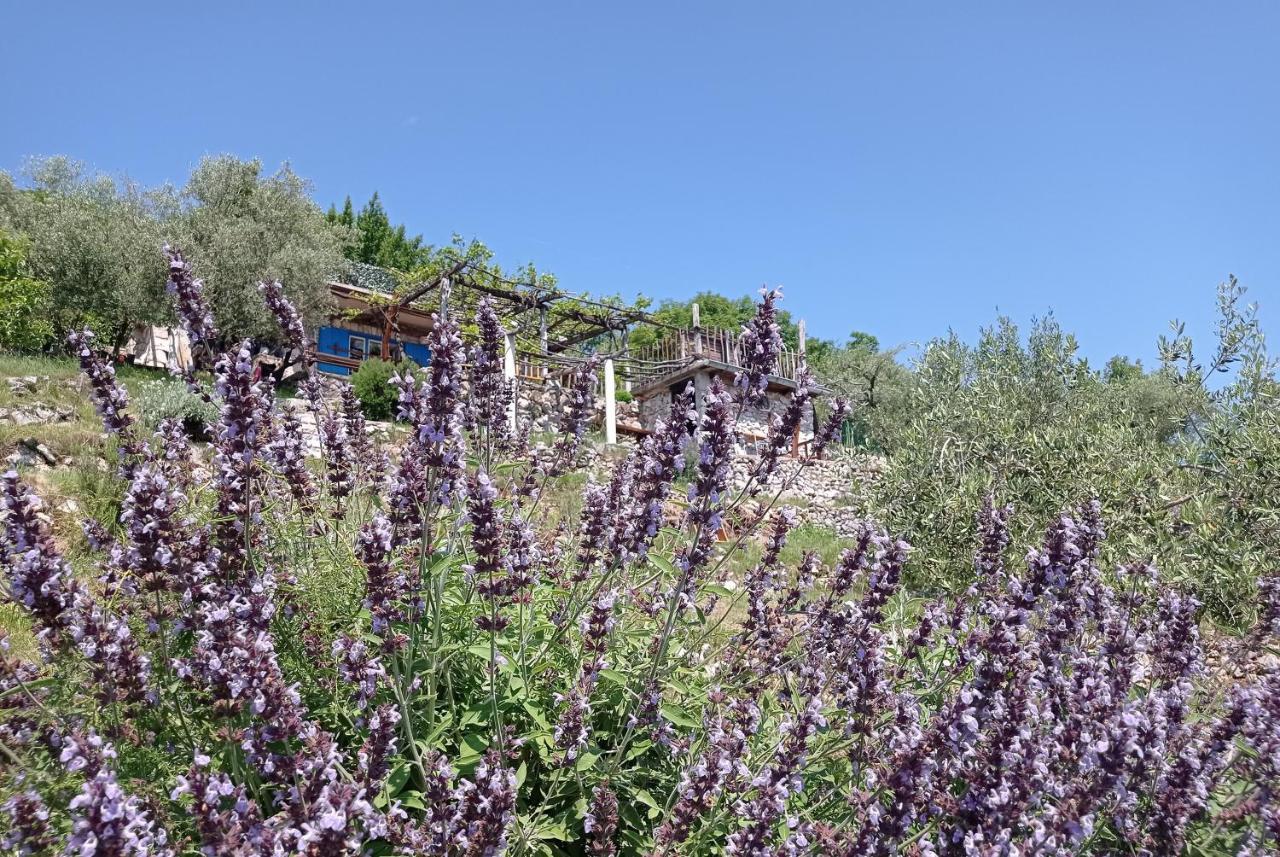 Casa Delle Olive Villa Mošćenička Draga Exterior foto
