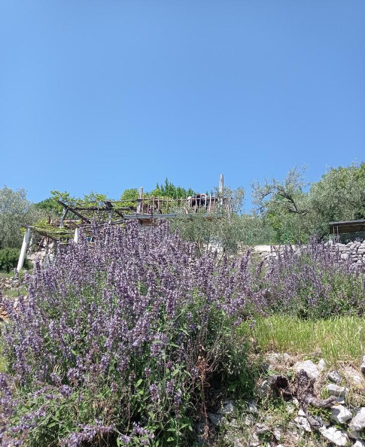 Casa Delle Olive Villa Mošćenička Draga Exterior foto