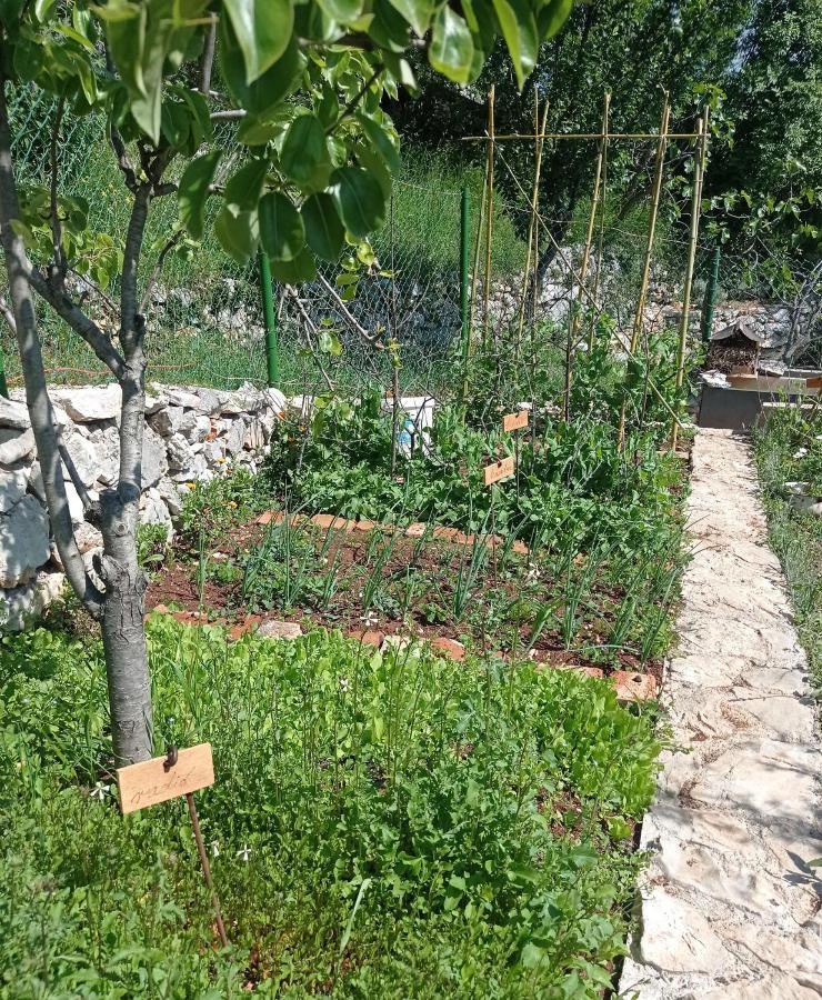 Casa Delle Olive Villa Mošćenička Draga Exterior foto