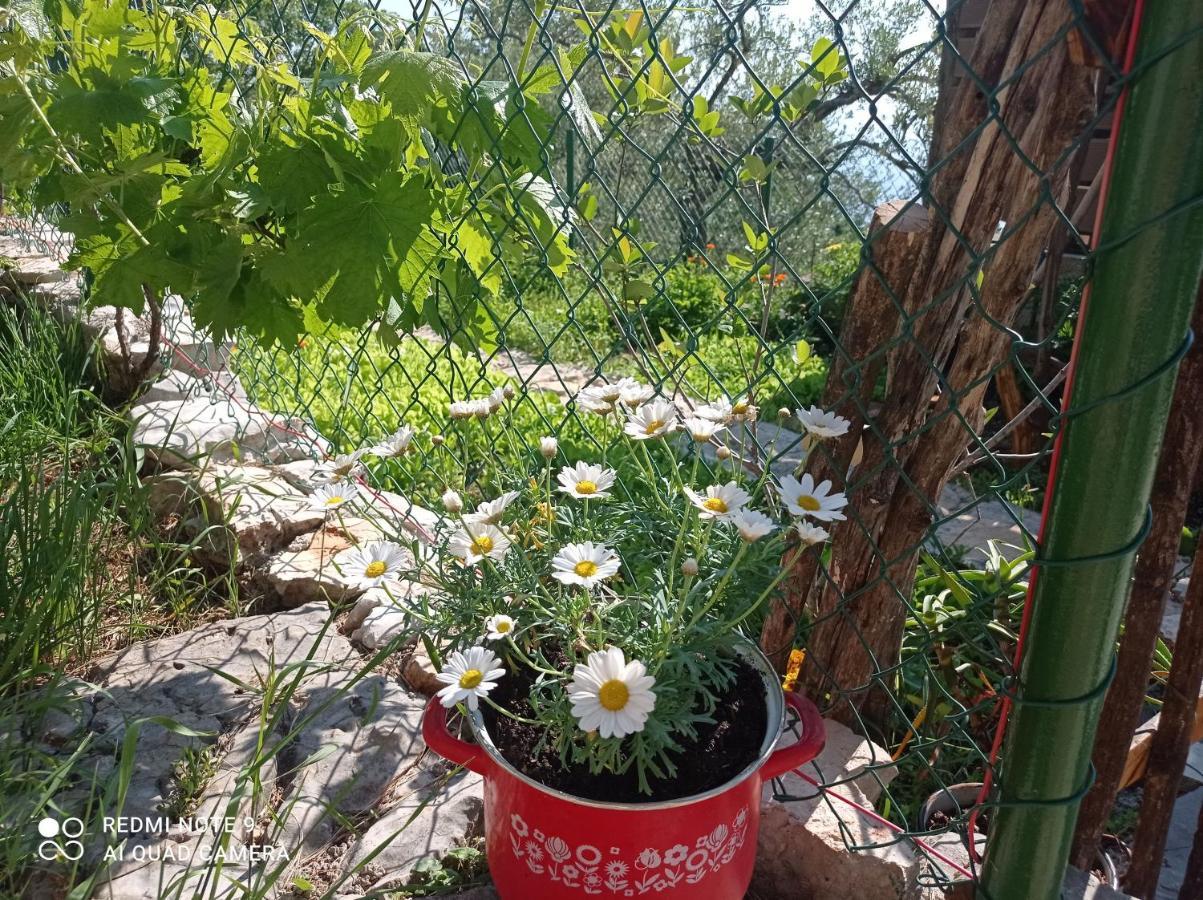 Casa Delle Olive Villa Mošćenička Draga Exterior foto