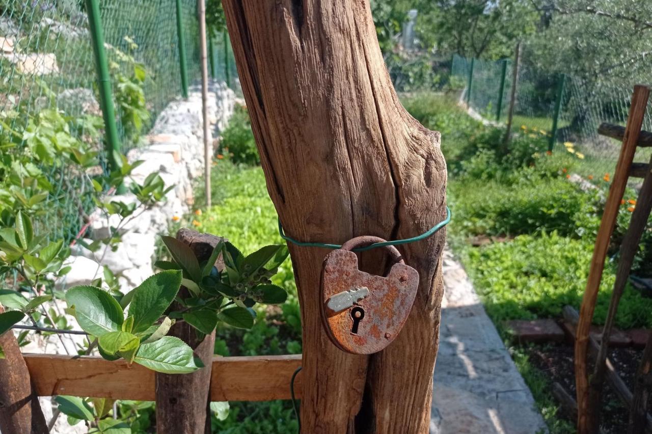 Casa Delle Olive Villa Mošćenička Draga Exterior foto